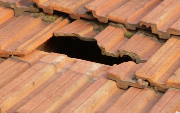 roof repair Chapel Lawn, Shropshire
